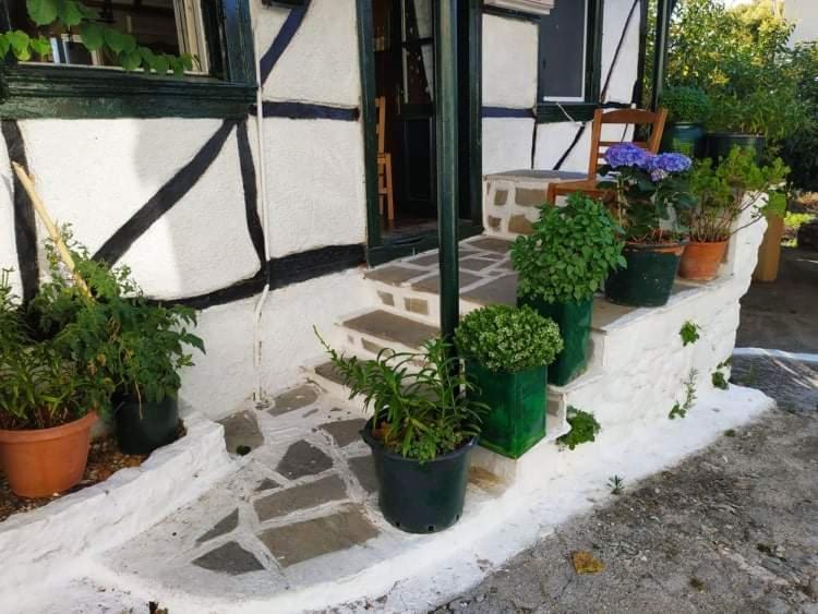 Lefkada Villas Panoramic Katouna Esterno foto